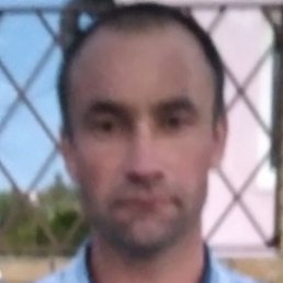 ����, ������, 39 ���