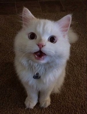 - Почему вы опоздали на работу? ! - Поздно вышел из дома... - А раньше нельзя было выйти? ! ! ! - ...