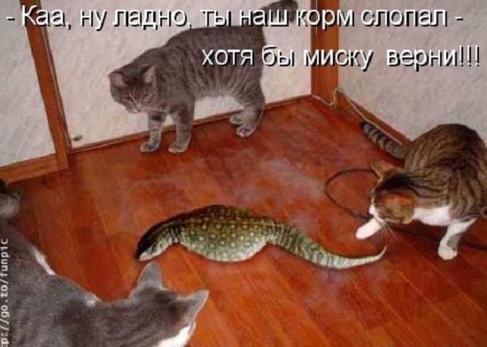  - 23  2023  20:10
