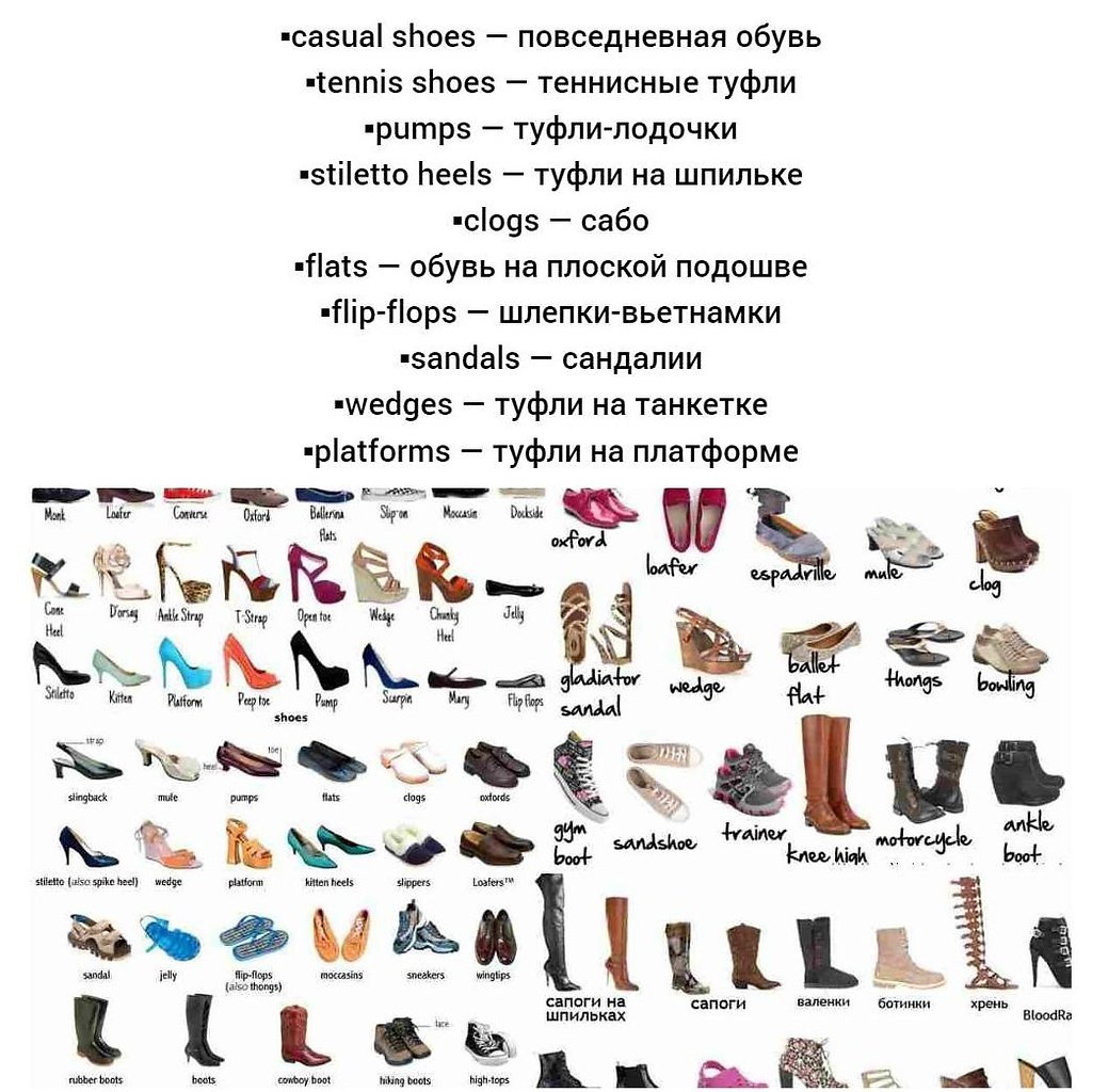 Названия типов обуви. Виды женской обуви названия. Название ботинок женских. Название обуви. Наименование обуви женской.
