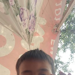 ���, ������, 55 ���