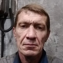 ����, �������, 44 ����