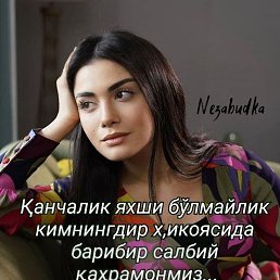 ���� ����, �����, 51 ��� - ��������� 25 �������� 2023