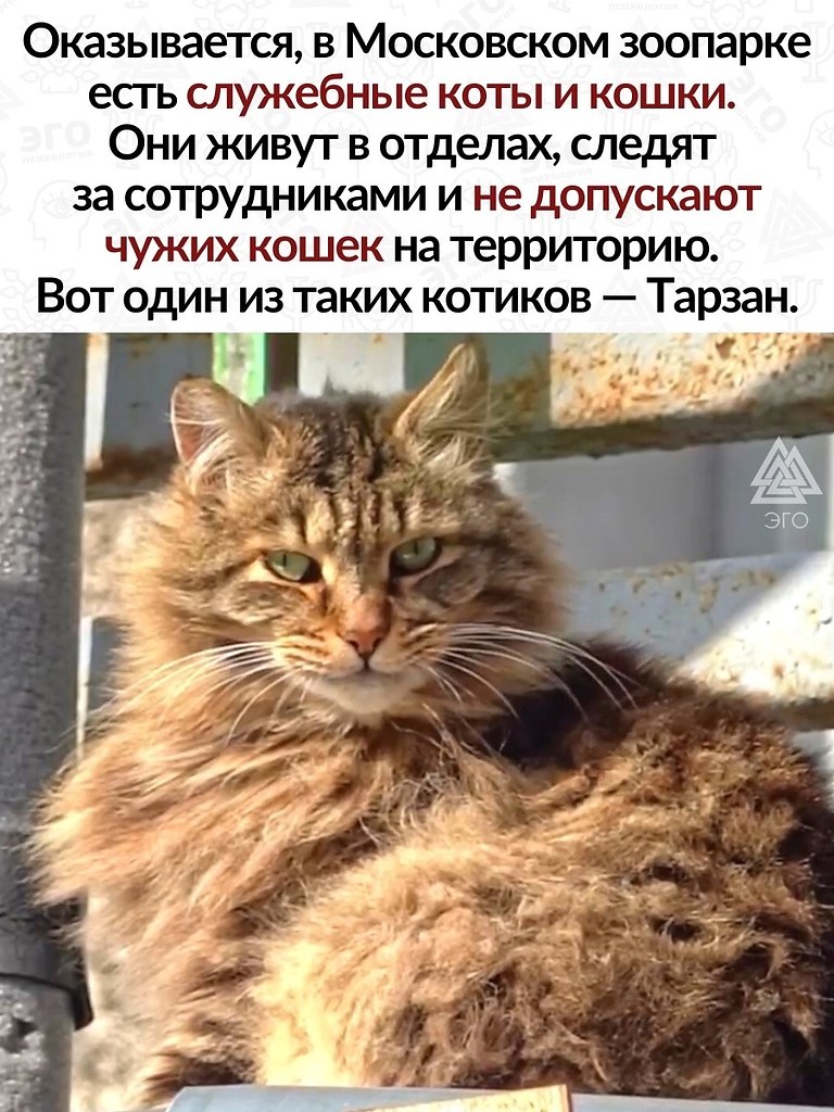     ! ,     .  ,  