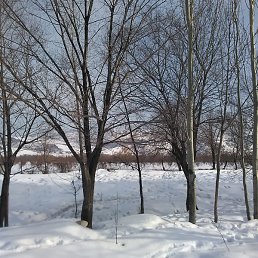 �����, ������, 34 ����