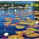 ���� -�-, ����, 75 ��� - ��������� 2 ������� 2023