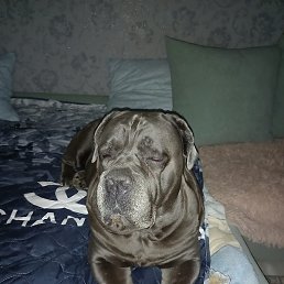 �����, ������, 55 ���