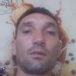 �������, �������, 41 ���