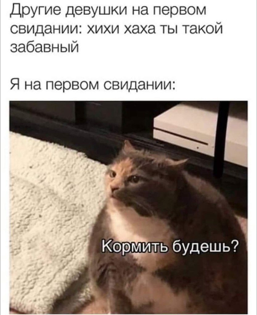    - 2  2023  22:22
