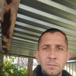 ���� ������, ����������, 43 ���� - ��������� 2 ������� 2023