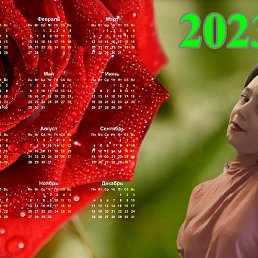 ������, ���������, 39 ���