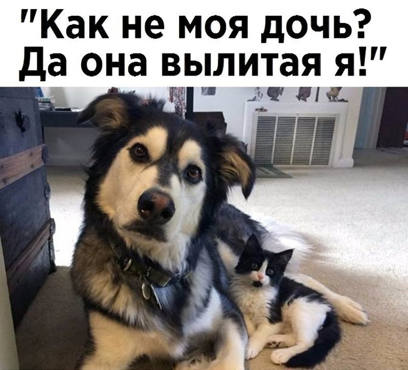   - 12  2023  18:36