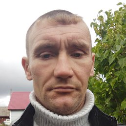 �������, �����-���������, 41 ���