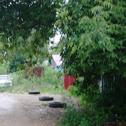 �����, ������ ��������, 43 ����