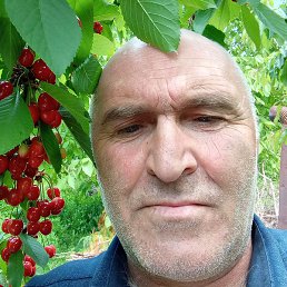 ������, ������, 51 ���