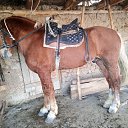 ���� �������, ������, 26 ��� - ��������� 22 ��� 2023