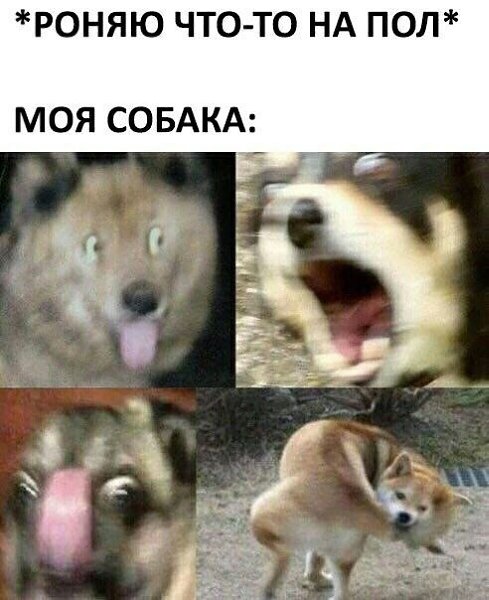    - 27  2023  07:37