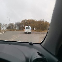 ����������, �����������, 46 ���