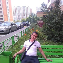 �����, ������, 40 ���