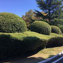 ���� ������, �����-���������, 53 ���� - ��������� 22 �������� 2023 � ������ ����� 2023�