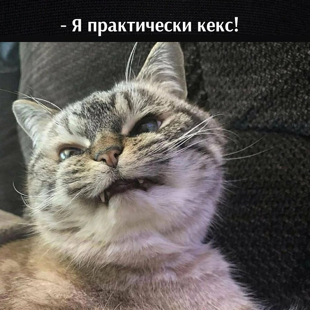       - 22  2023  12:55 - 3
