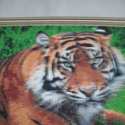 �������, ����������, 51 ���