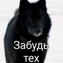 ���� ������, ����-�����������, 36 ��� - ��������� 11 ����� 2023