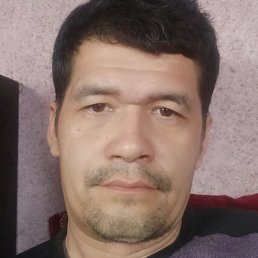 ����, �������, 41 ���