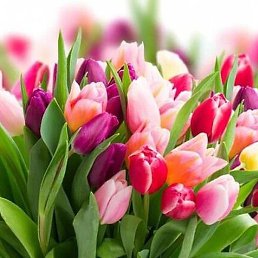 Irina, ��������, 49 ���