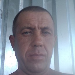 ������, ������, 49 ���