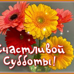 ,  , 54 