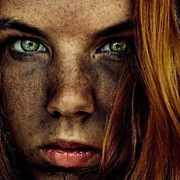 �����, �����, 49 ���