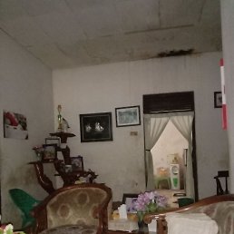 Berto, ��������, 34 ����