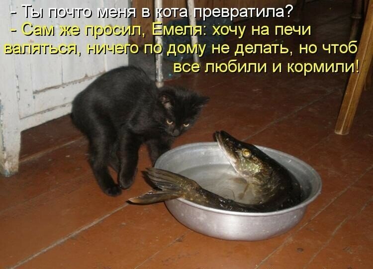  - 17  2023  16:53