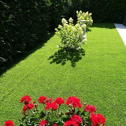 ���� ������, ������, 61 ��� - ��������� 28 ����� 2023