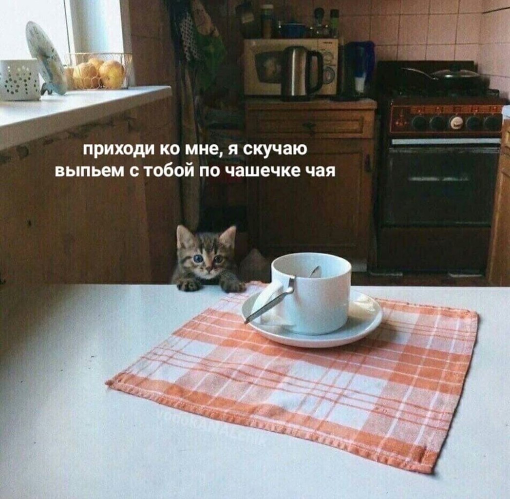   - 2  2023  13:34