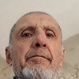 �����, �������, 66 ���