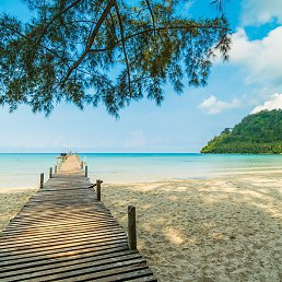 ��, �����, 48 ���