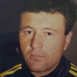 �����, ������, 46 ���