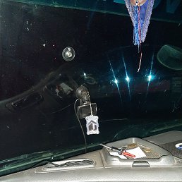 ����, ������������, 37 ���