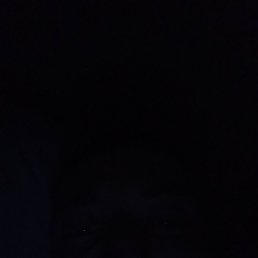 ����������, ���������, 29 ���