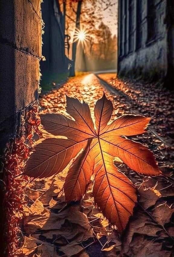     ,     .  