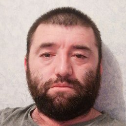 ����, �����-���������, 39 ���