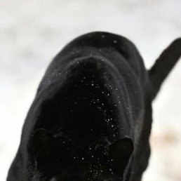 ���� ������, ������, 45 ��� - ��������� 1 ������� 2023