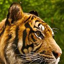  ,  , 60  -  16  2023    