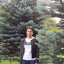 ���� ����, �����-���������, 50 ��� - ��������� 7 ���� 2023