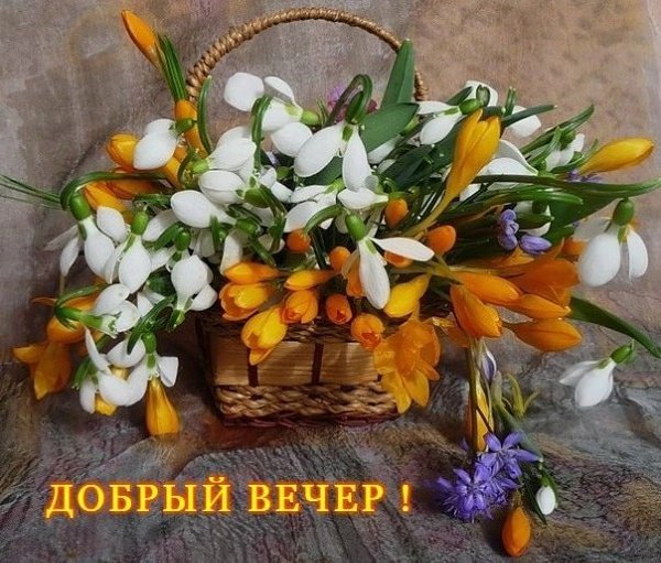 Доброго, вам вечера весеннего! Отдыха хорошего и замечательного настроения. В доме тепла и доброты, ...