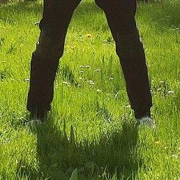 ���������, ������, 27 ���