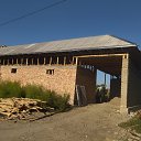  , , 37  -  8  2023
