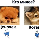 ���� ������, ����, 27 ��� - ��������� 2 ���� 2023 � ������ ���� ����������